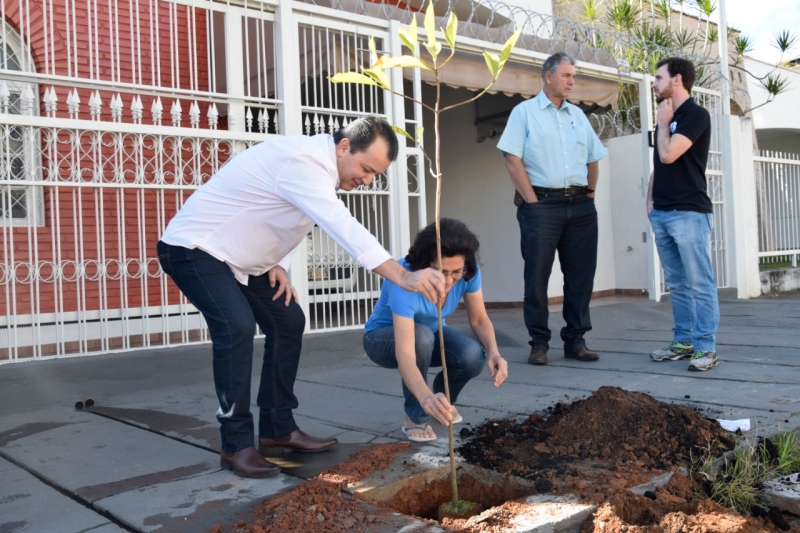 passos projeto passos verde