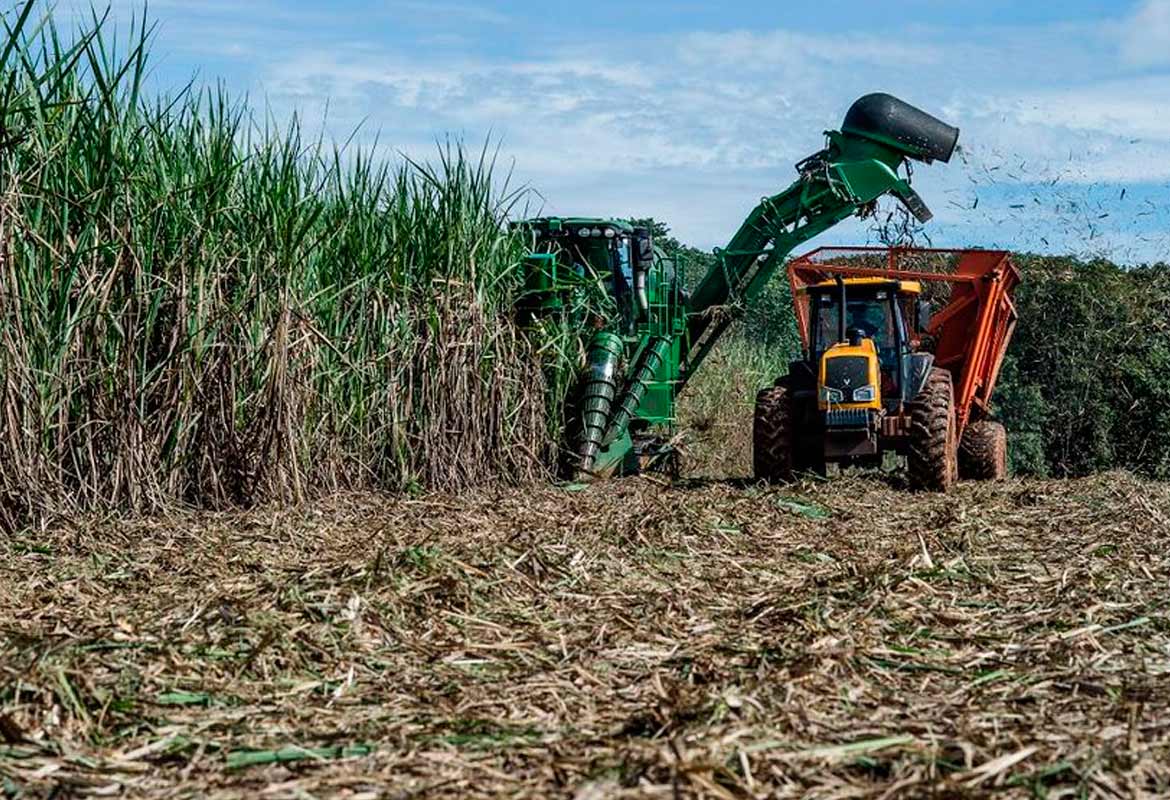 Tecnologia em Gestão do Agronegócio