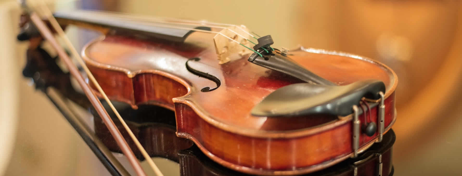 Violino